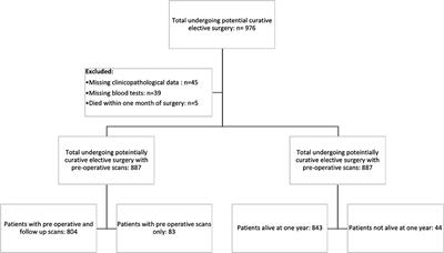 Longitudinal Changes in CT Body Composition in Patients Undergoing Surgery for Colorectal Cancer and Associations With Peri-Operative Clinicopathological Characteristics